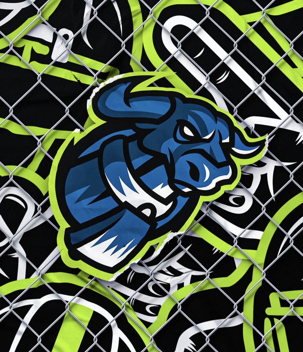 CoachBenCramer's tweet photo. I am excited to announce that I have begun a new position, coaching Linebackers and Defense for the Budapest Cowbells, a team in the Hungarian Football League, the top level tier of the sport in the country. I look forward to this adventure and growing the game internationally! https://t.co/82SPAe9XDl
