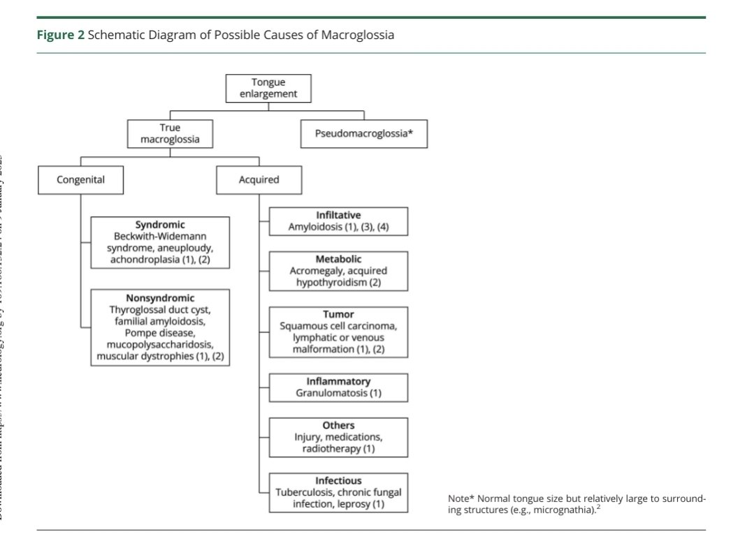 AlexStibi's tweet photo. Etiologic work-up for #macroglossia
via @GreenJournal https://t.co/OqEvXajCBn
