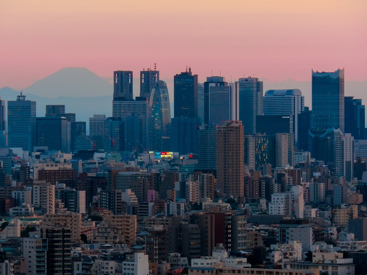 L. Spiro tweet media