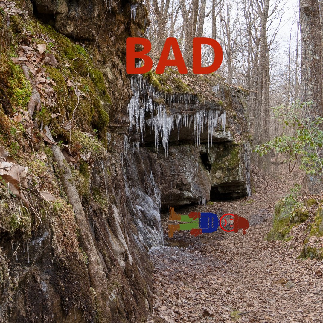 USFS North Carolina tweet media