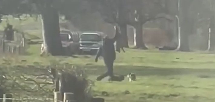 North Wales Huntsabs tweet media