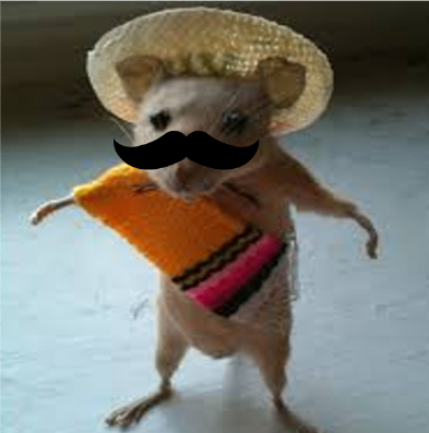 Nacho CTO tweet media