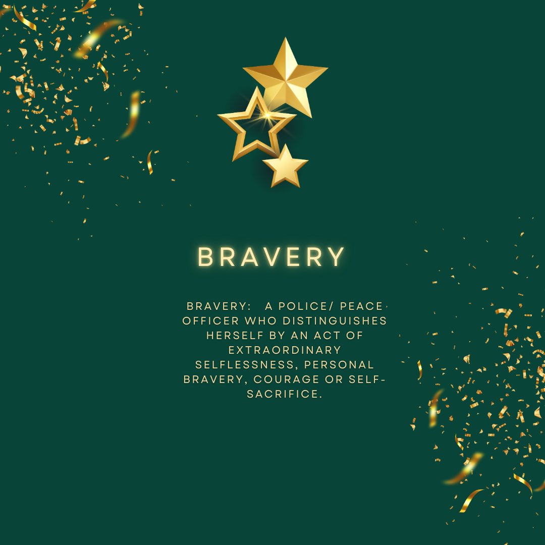 Nominations for major awards are now open on our website owle.org.

Do you know someone who fits the criteria for bravery for work completed in 2024? Then please head over to our website and submit a nomination.