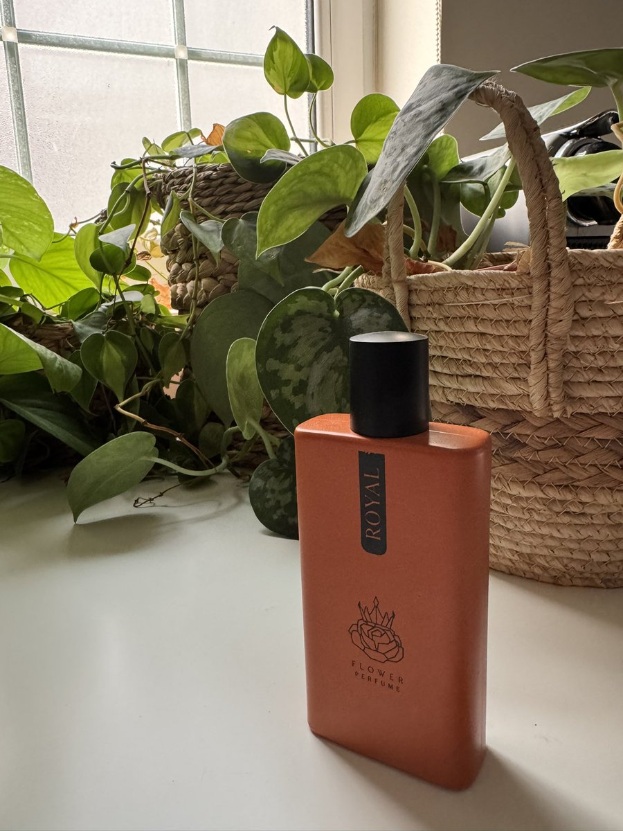 qwertyui03's tweet photo. #رابطة_عشاق_العطور 
👋 كلنا نعرف ان عطر الثائر من دي مارلي فاز كأفضل عطر رجالي بالعالم 
🔺العطر جميل مانقول شي ولكن يخدم فئة عشاق القورماند والسويت …
👈👈 عطر رويال -ROYAL
شبيه بعطر الثائر ولكن هنا مكثفين نوتة البرغموت مع زهر البرتقال وصار توازن بالعطر اكثر
ماراح تشم سويت داكن‼️
فالحمضيات والزهور هنا اعطت العطر جمالية وانسيابية اكثر وماننسى القرفة والفانيلا وحلوى اللوز
 ومن حقك تجرب وتحكم بنفسك
توصلك عينة مع العطر جربها قبل فتحه

🔺للعلم الثبات والفوحان ماعليهم كلام راح تقول نعم عطر ونعم اداء ✅😊

🟣 السعر 119 ريال مع التوصيل
👈 كود الشحن المجاني MY10

https://t.co/2fmyNIPOHk