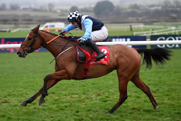 gelliott_racing's tweet photo. Forceonmyown goes one better than on debut to land the mares bumper @punchestownrace in fine style under @HarrySwan15 

Congratulations to Blue Riband Racing 🏆

📸 Healy Racing https://t.co/nysI4bjT1r