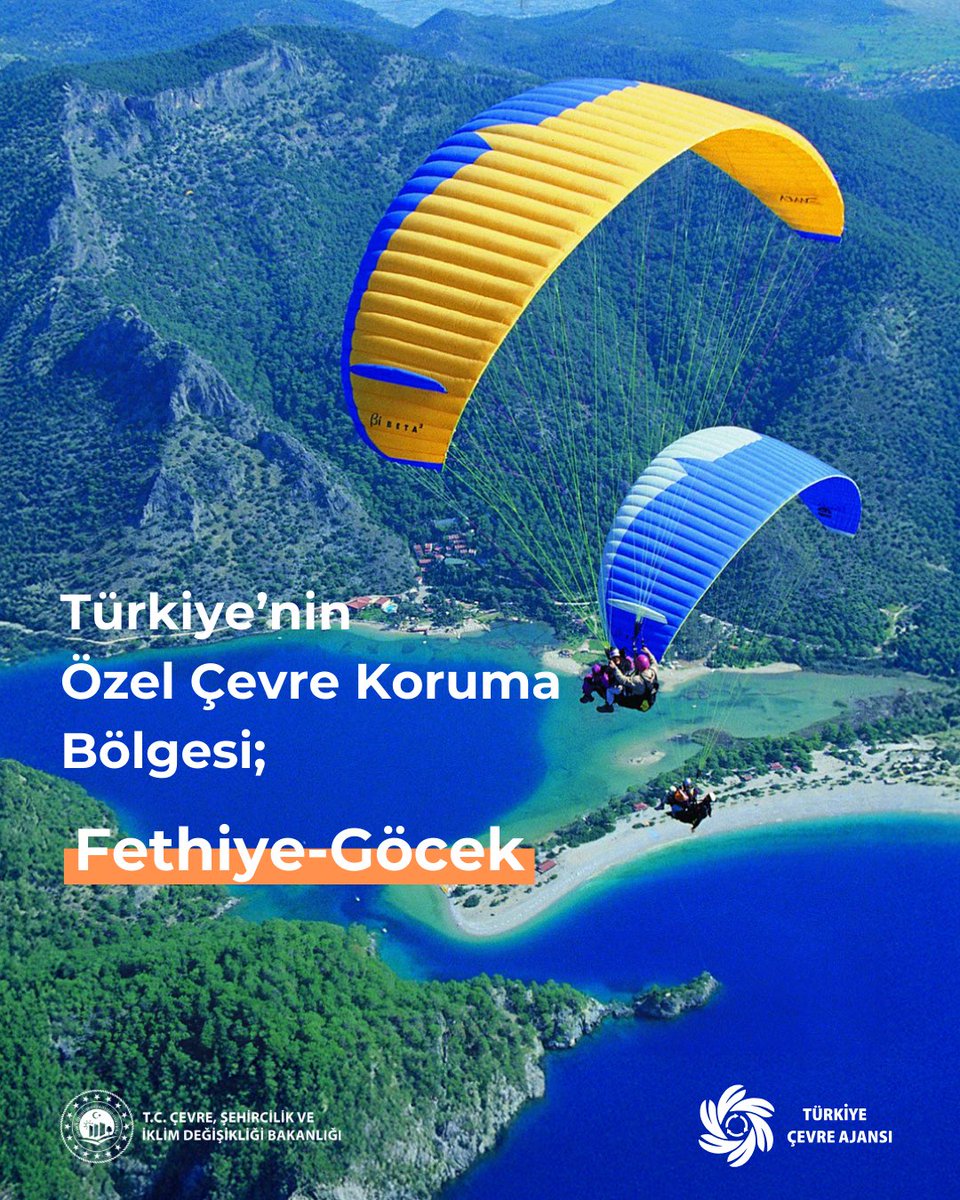 🐢 Akdeniz havzası içinde 5 türle temsil edilen deniz kaplumbağalarından 3 önemli türün (Caretta Caretta, Chelonia Mydas, Dermochelys Coriacea) Türkiye'de tespit edildiğini biliyor muydunuz❓❓

📍 Bern Sözleşmesi ve CITES ile koruma altına alınan Caretta Caretta ve Chelonia