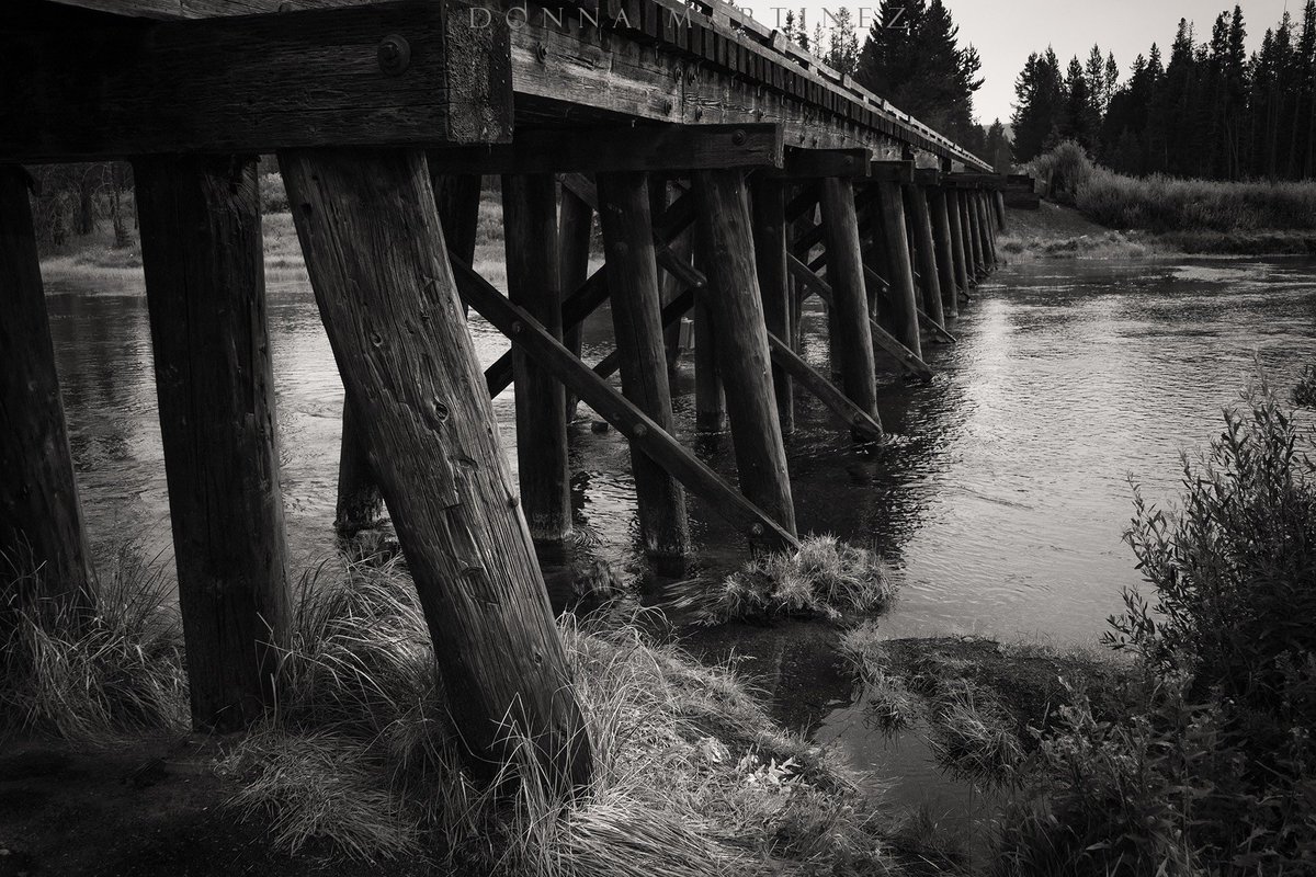 Good morning. 🌞 
#blackandwhitephotography