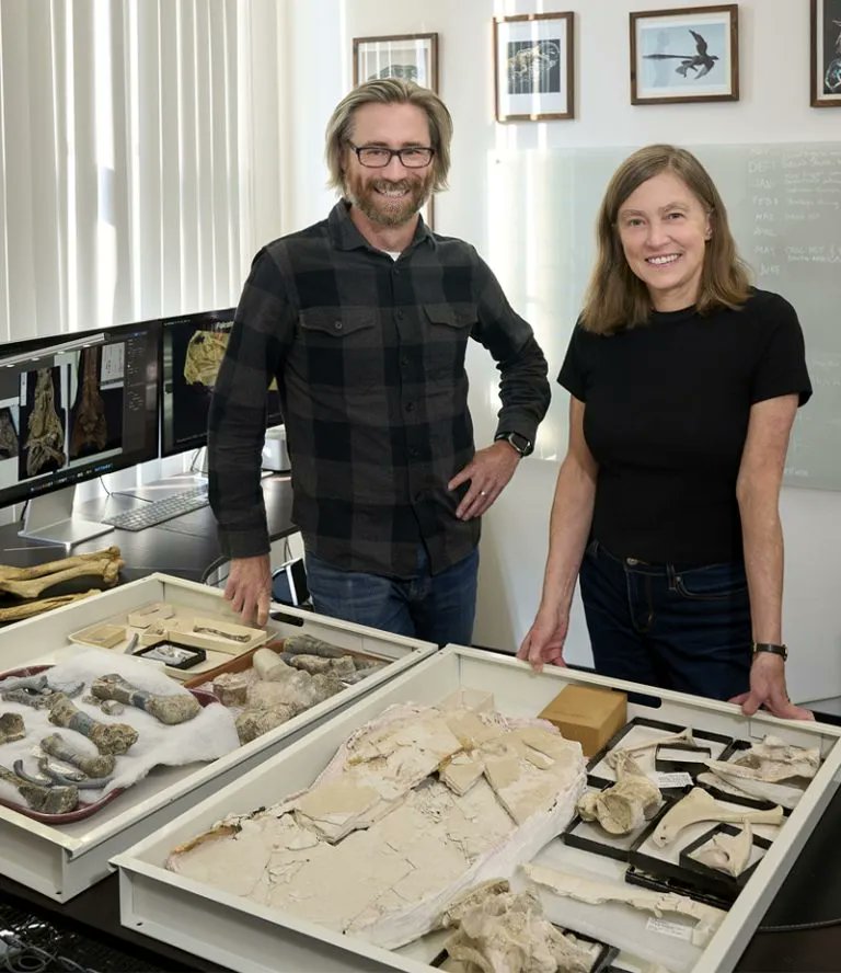 Stony Brook Research tweet media