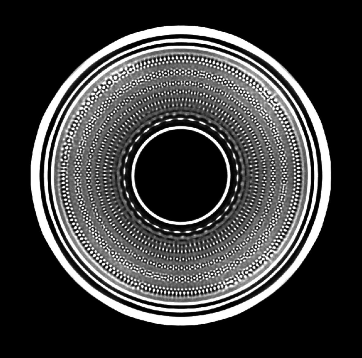 Alex Groznykh tweet media