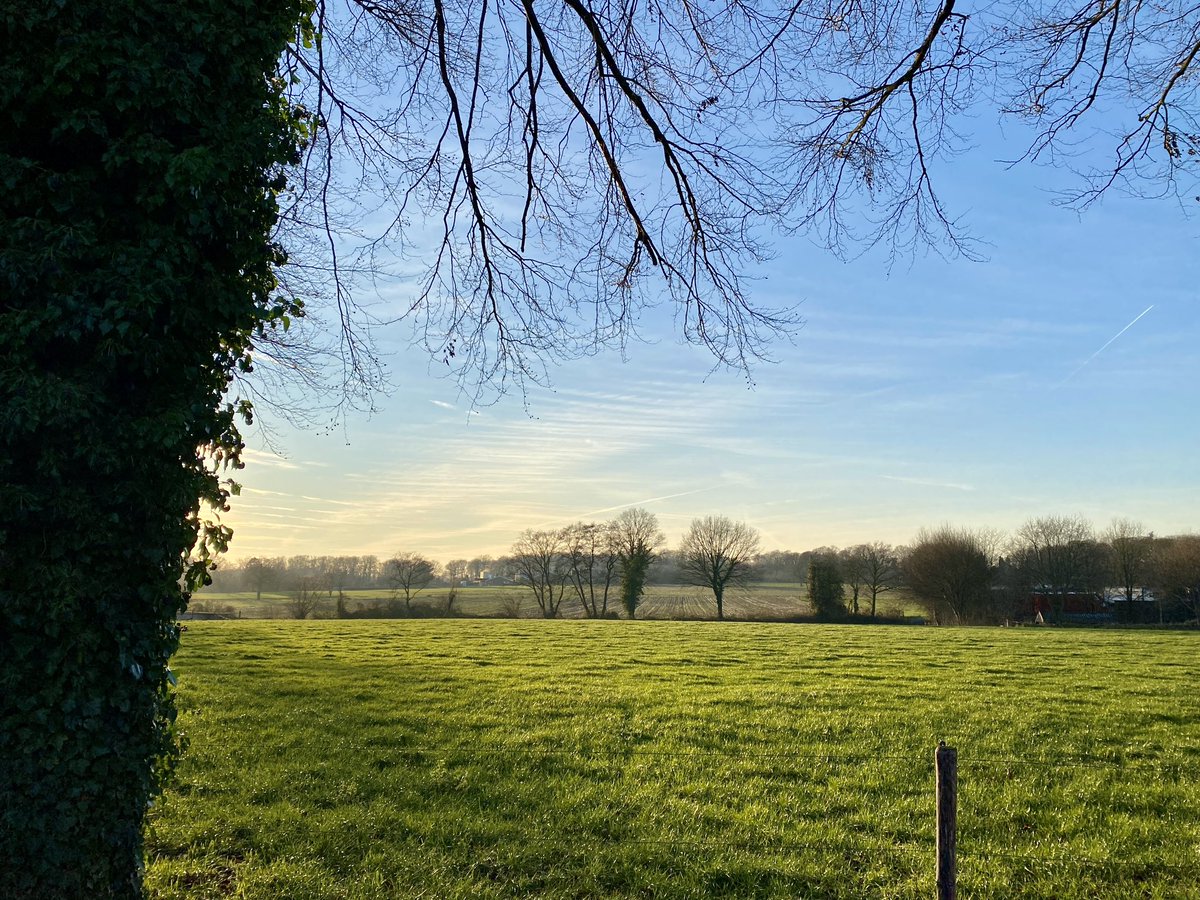 TruusWijnen's tweet photo. Groeten uit De Lutte🥾🌞
Wandelrondje vanuit huis.
#rustroest #oefenen #revalidatie https://t.co/jQNkj3S7Oz