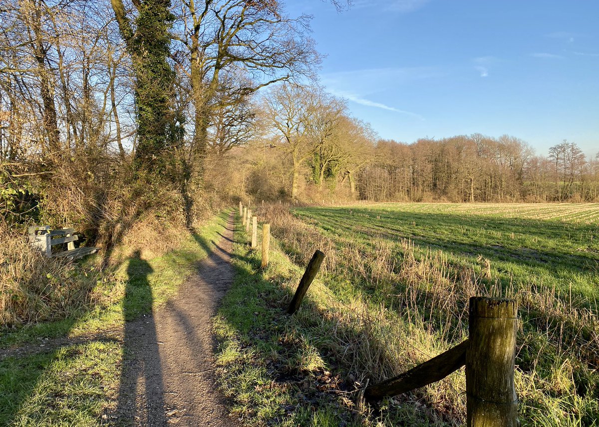 TruusWijnen's tweet photo. Groeten uit De Lutte🥾🌞
Wandelrondje vanuit huis.
#rustroest #oefenen #revalidatie https://t.co/jQNkj3S7Oz