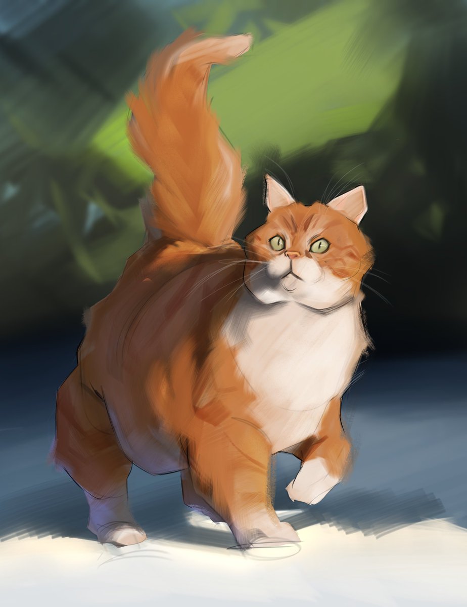 BreezyKey tweet media