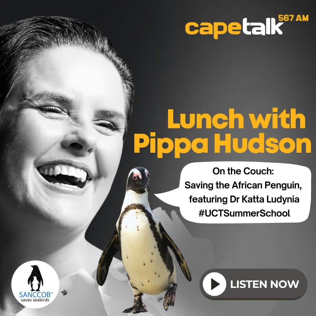 WildoceansSA tweet media