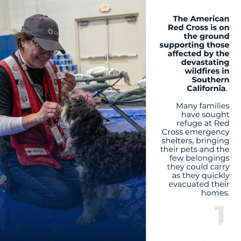 ifrc's tweet photo. Staff and volunteers from American Red Cross @RedCross continue to provide care and support to people affected by the devastating wildfires in Southern California.

They are making sure no one faces this heartbreaking crisis alone.

If you’re in an affected area, stay alert. 👇