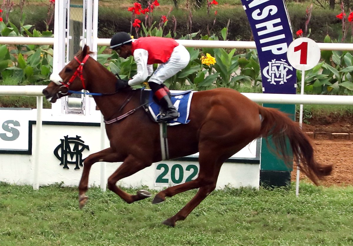 indiaracedotcom's tweet photo. West Brook wins the Nanoli Stud Fillies &amp; Mares Championship https://t.co/LxgjmkH8aw