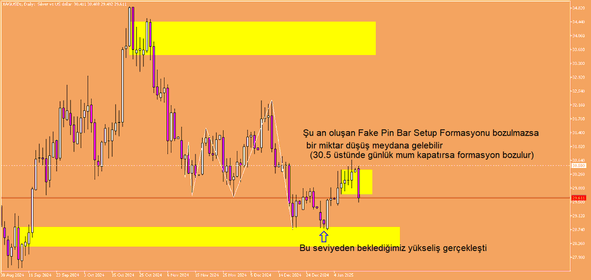 Price Action TR tweet media