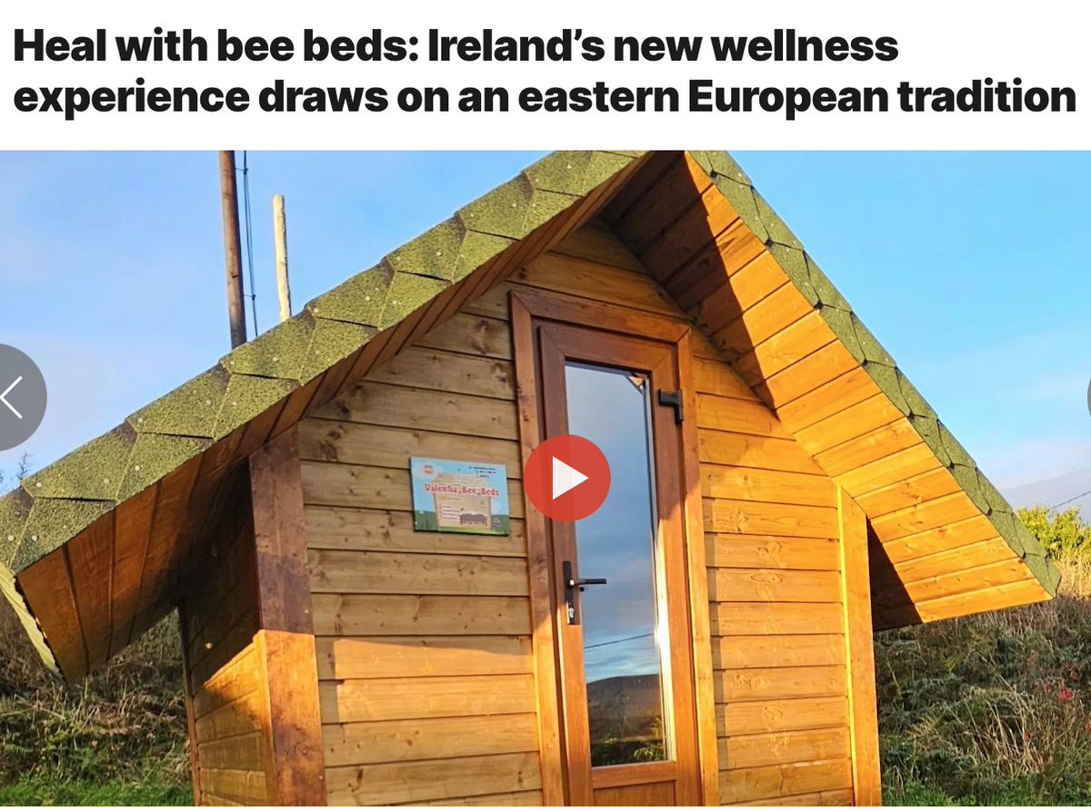 Unbeelievable's tweet photo. Travel idea: Visit an apitherapy wellness retreat with bee beds on beautiful Valentia Island on Ireland’s Wild Atlantic Way. Did you know beekeepers live longer? The vibrations of the bees & the scent they make are shown in studies to be healing for the body.
@euronews 
https://t.co/V7NM3Ue7ys #traveltips #honeybees #bees