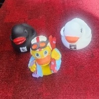 EmergencySports's tweet photo. Is it # nationalRubberDuckyDay or do we call it @EmergencySports day?

The Ducks are on the pond and training all around the country again this year! 

Come join @EmergencySports for #NationalRubberDuckyDay 
#smemDay #emergencysports 

@dcatc1 @DrKonin @JVT_Travel @strappatc https://t.co/Ba2aPNdcVs