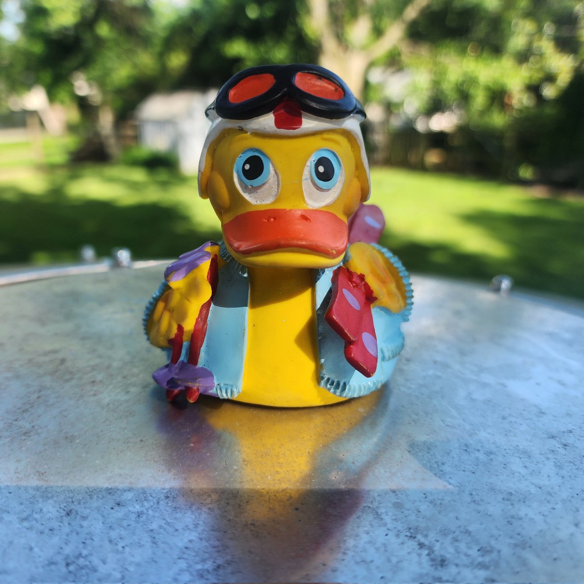 Sports Medicine Emergency Management (@emergencysports) on Twitter photo Is it # nationalRubberDuckyDay or do we call it <a href="/EmergencySports/">Sports Medicine Emergency Management</a> day?
The Ducks are on the pond and training all around the country again this year!
Come join <a href="/EmergencySports/">Sports Medicine Emergency Management</a> for #NationalRubberDuckyDay
#smemDay #emergencysports
<a href="/dcatc1/">DARRYL CONWAY</a> <a href="/DrKonin/">Dr. Jeff Konin</a> <a href="/JVT_Travel/">Jenna Turner</a> <a href="/strappatc/">Ed Strapp</a> Is it # nationalRubberDuckyDay or do we call it <a href="/EmergencySports/">Sports Medicine Emergency Management</a> day?
The Ducks are on the pond and training all around the country again this year!
Come join <a href="/EmergencySports/">Sports Medicine Emergency Management</a> for #NationalRubberDuckyDay
#smemDay #emergencysports
<a href="/dcatc1/">DARRYL CONWAY</a> <a href="/DrKonin/">Dr. Jeff Konin</a> <a href="/JVT_Travel/">Jenna Turner</a> <a href="/strappatc/">Ed Strapp</a>