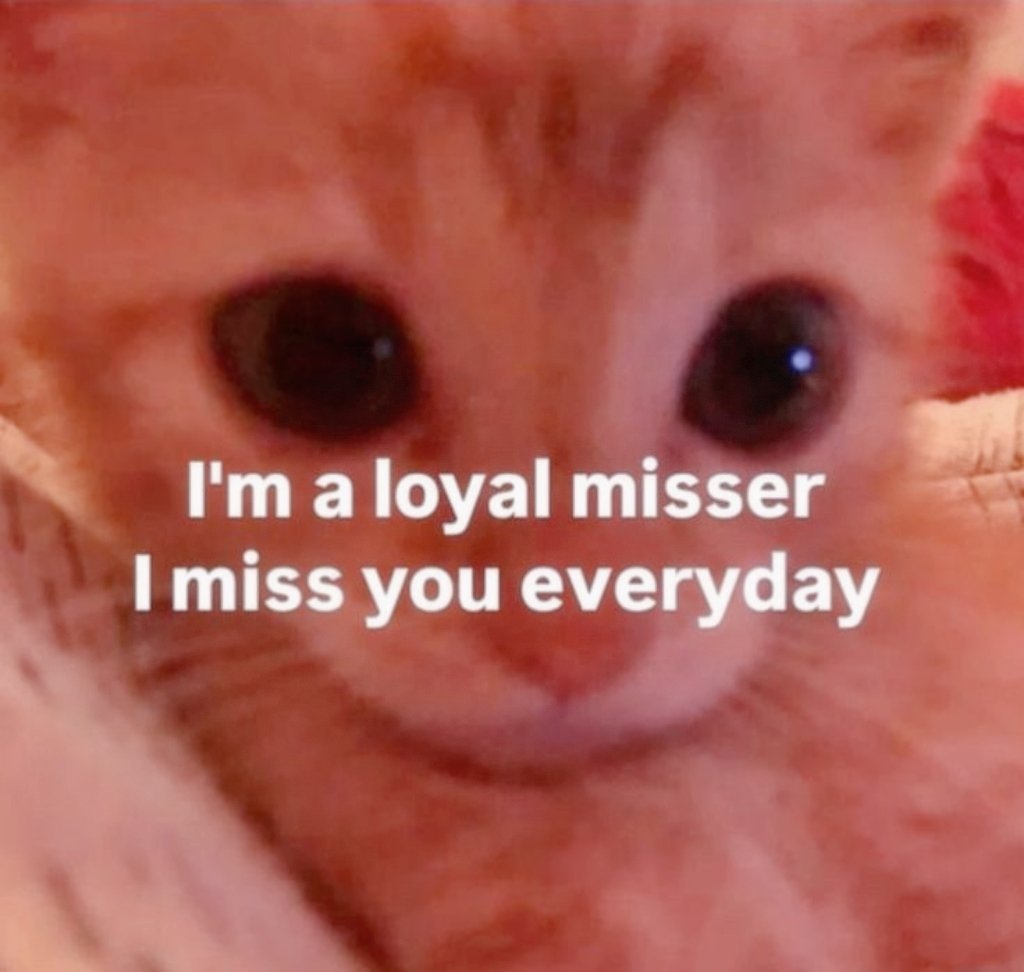 (&.) 𝖻͟𝖺͟𝗋͟𝖻͟𝗂͟𝖾͟-𝖽͟𝗈͟𝗅͟𝗅͟𝗂͟𝗓 ﹏★ ?! (@lihzeu) on Twitter photo 