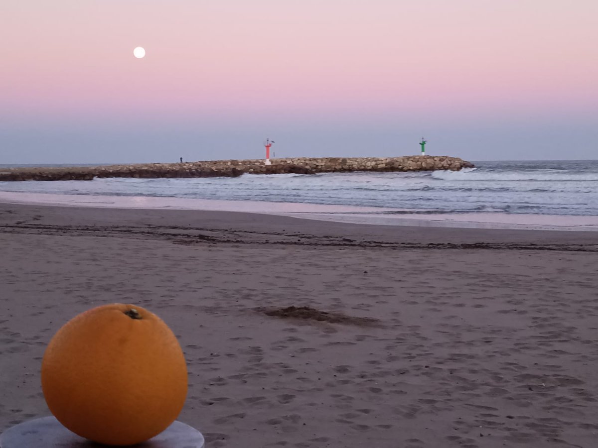 Ismael Navarro 🍊 tweet media