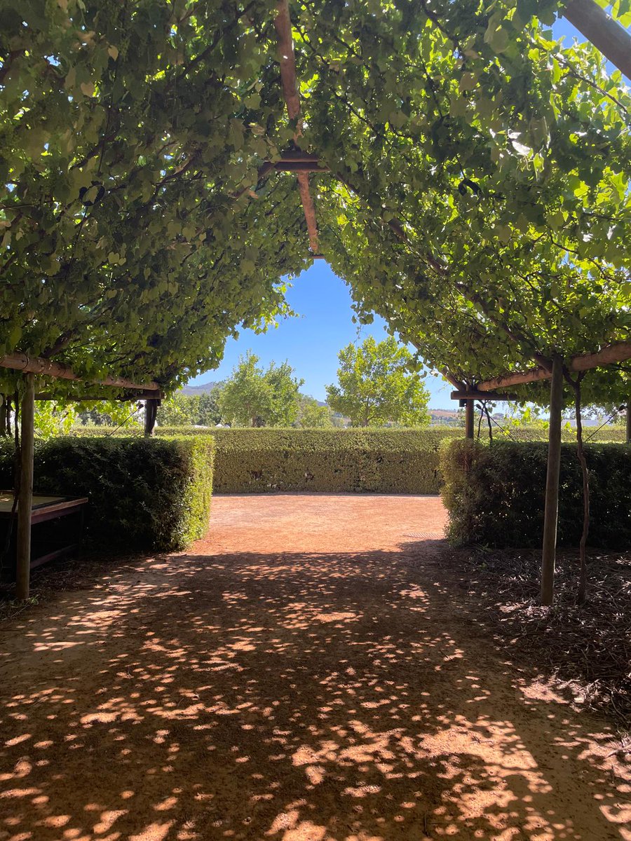 Sven Ossowski tweet media