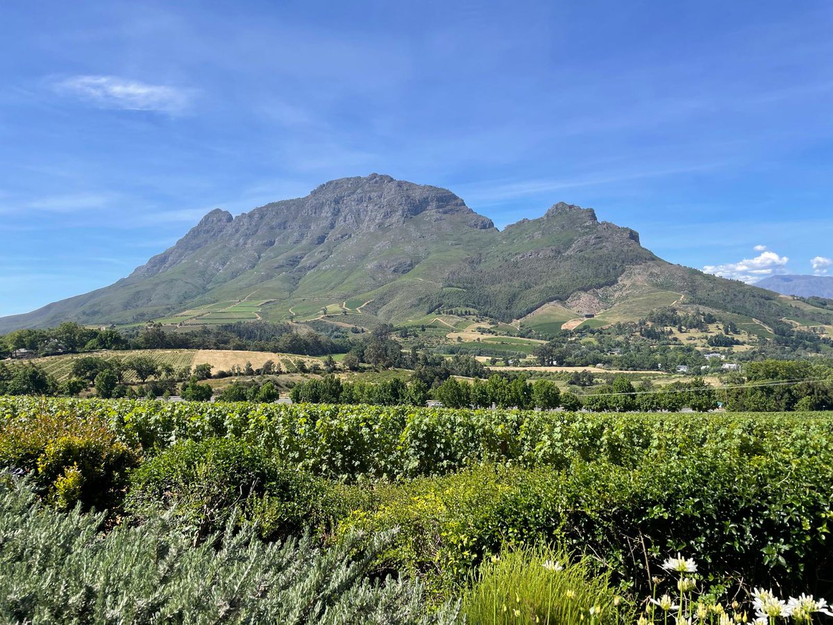 Sven Ossowski tweet media