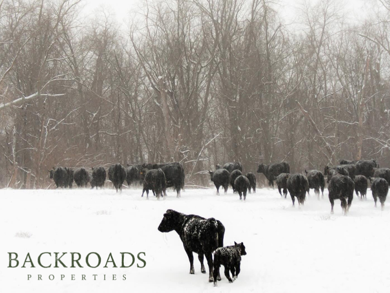 Backroads Properties tweet media