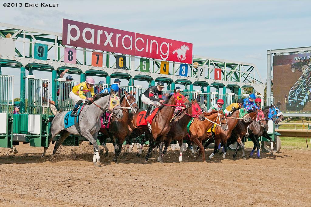 RichardRondn5's tweet photo. MARCAS PARA PARK RACING
@ParkRacing 
#Hipismo
#ParkRacing
LUNES 13 DE ENERO
🇺🇸🇺🇸🇺🇸🇺🇸🇺🇸🇺🇸🇺🇸🇺🇸🇺🇸🇺🇸
+584241528730
☎️☎️☎️☎️☎️☎️

1)6-4-1
2)1F-7
3)1-6-3
4)4-3
5)5-4-1
6)2F-1
7)6-5-2
8)9-5-7
9)8F-5
10)1F-9
11)12-10-4

JUGADAS VIP
🏆🏆🏆🏆🏆🏆
+584241528730
📲📲📲📲📲📲 https://t.co/mDRjAaLhou