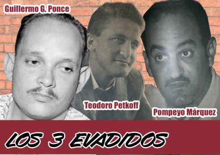 Shadow Rider. D 🇻🇪⭐ tweet media