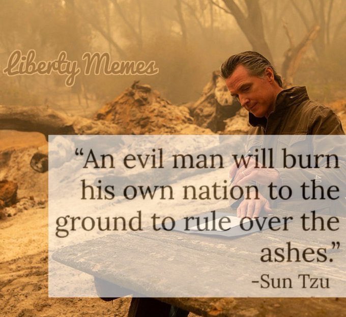 TheSingingDoc's tweet image. #wefpawn #thegreatreset