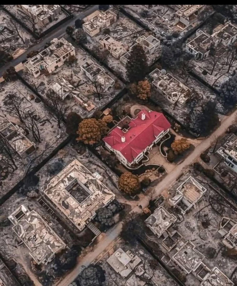 Autism Capital 🧩 tweet media