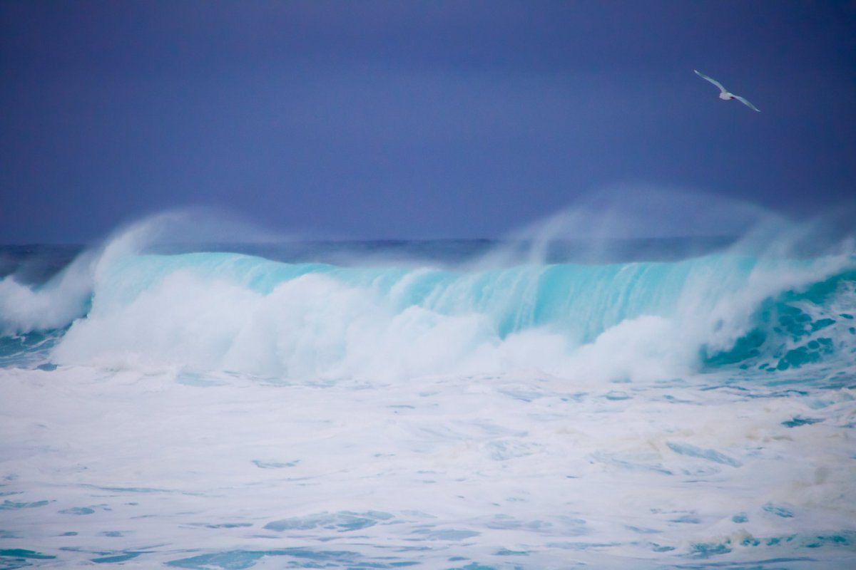 Spectacular surf at Middle Cove yesterday (1.12.25)! #NLwx 

📸 Tim Noel