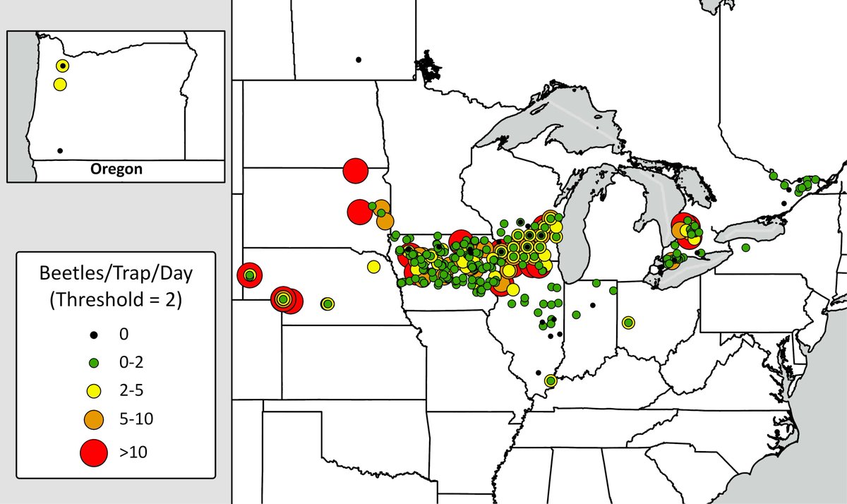 Ashley Dean (@ashleyn_dean) on Twitter photo Exciting news...the 2024 Regional Corn Rootworm Monitoring Network Summary is now available online! go.iastate.edu/BIBTT1
This provides a summary of beetle counts on sticky traps in the US and Canada as well as relevant field history information.
<a href="/erinwhodgson/">Erin Hodgson</a> @TraceyBaute Exciting news...the 2024 Regional Corn Rootworm Monitoring Network Summary is now available online! go.iastate.edu/BIBTT1
This provides a summary of beetle counts on sticky traps in the US and Canada as well as relevant field history information.
<a href="/erinwhodgson/">Erin Hodgson</a> @TraceyBaute