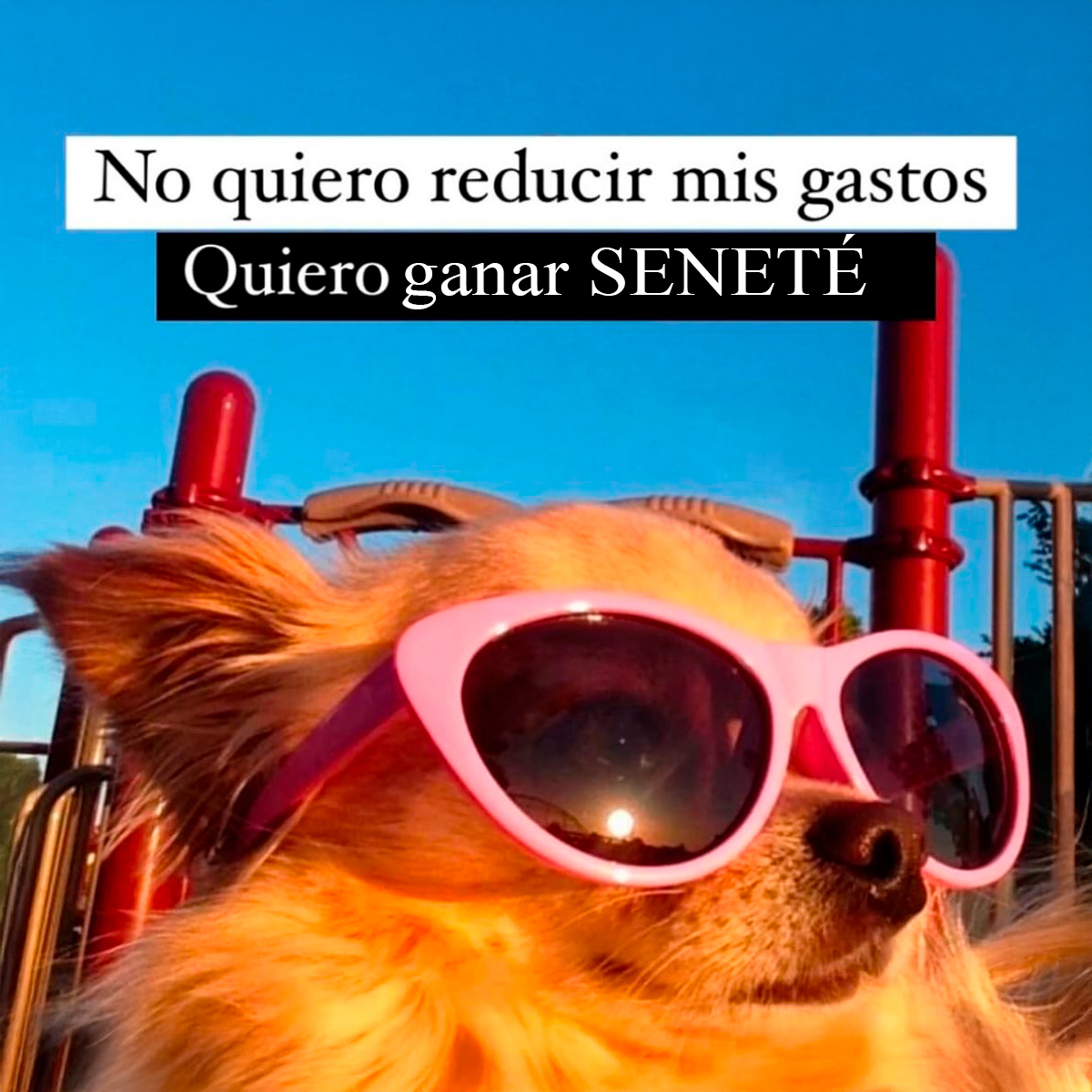 Seneté (@senetepy) on Twitter photo 