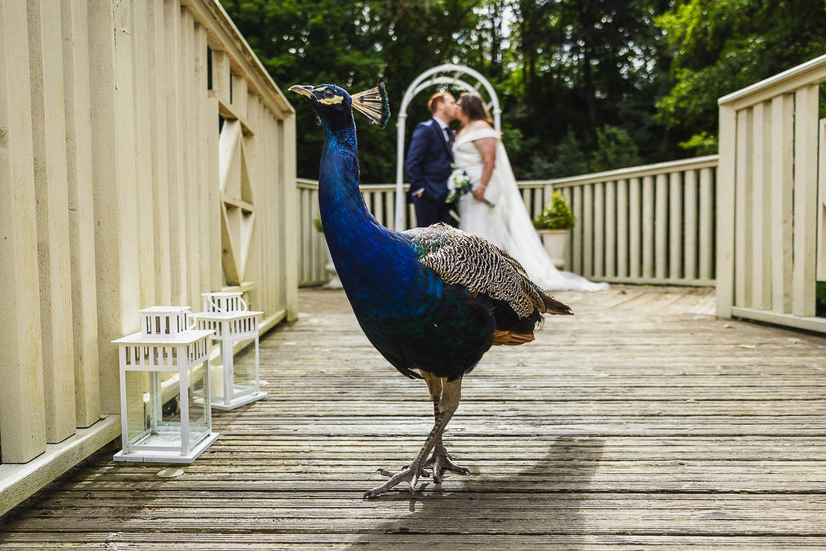 tierneyPhoto's tweet photo. t's that time of year again, here are my favourite wedding images of 2024 #sheffield #sheffieldwedding #sheffieldweddingphotographer https://t.co/wCDLPfwDNl https://t.co/O9bauI9Lhe