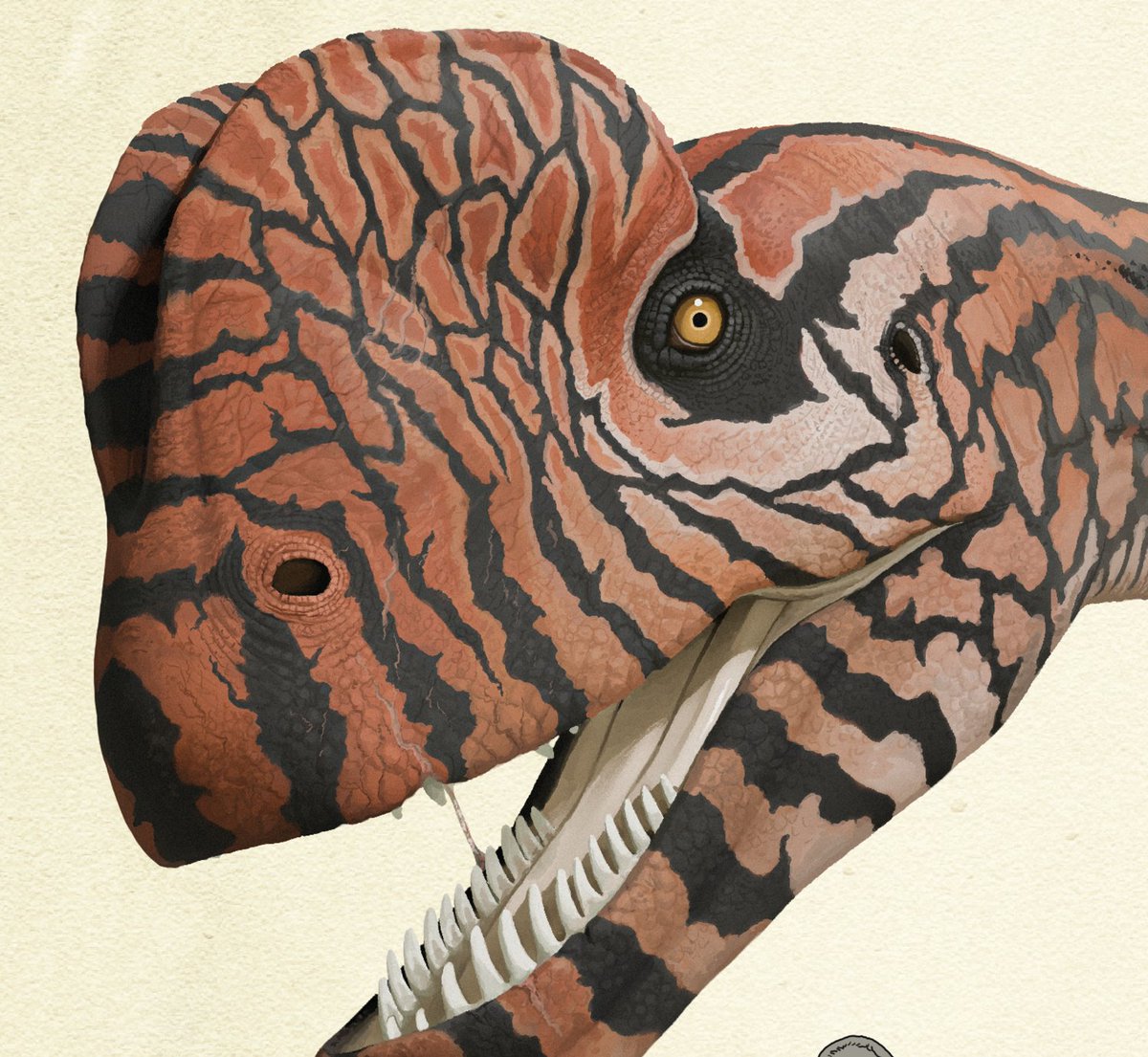 DanPalaeon1's tweet photo. My first poster illustrates the work on Sinosaurus sinensis that I and a few others completed last year. It includes a reconstruction based on the skeletal model I created and a wealth of other information! https://t.co/imcXZtDb0M