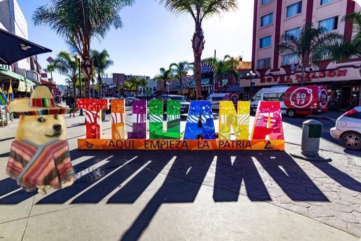 $DONCHO rapido trip to TJ's !🇲🇽✨💖