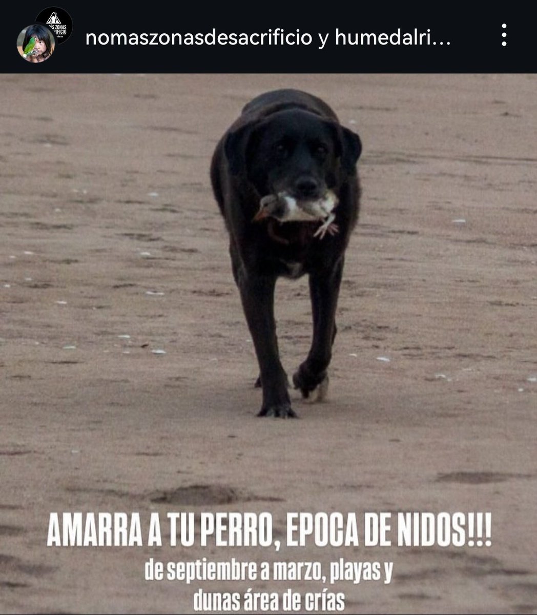 La foto lo dice todo, la verdad.