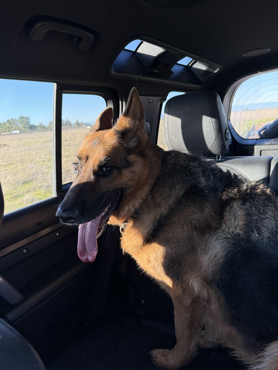 My quant says to buy more.