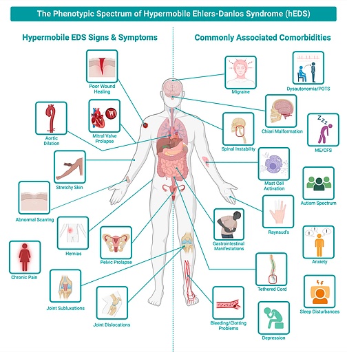 Michael R Scoma MD tweet media
