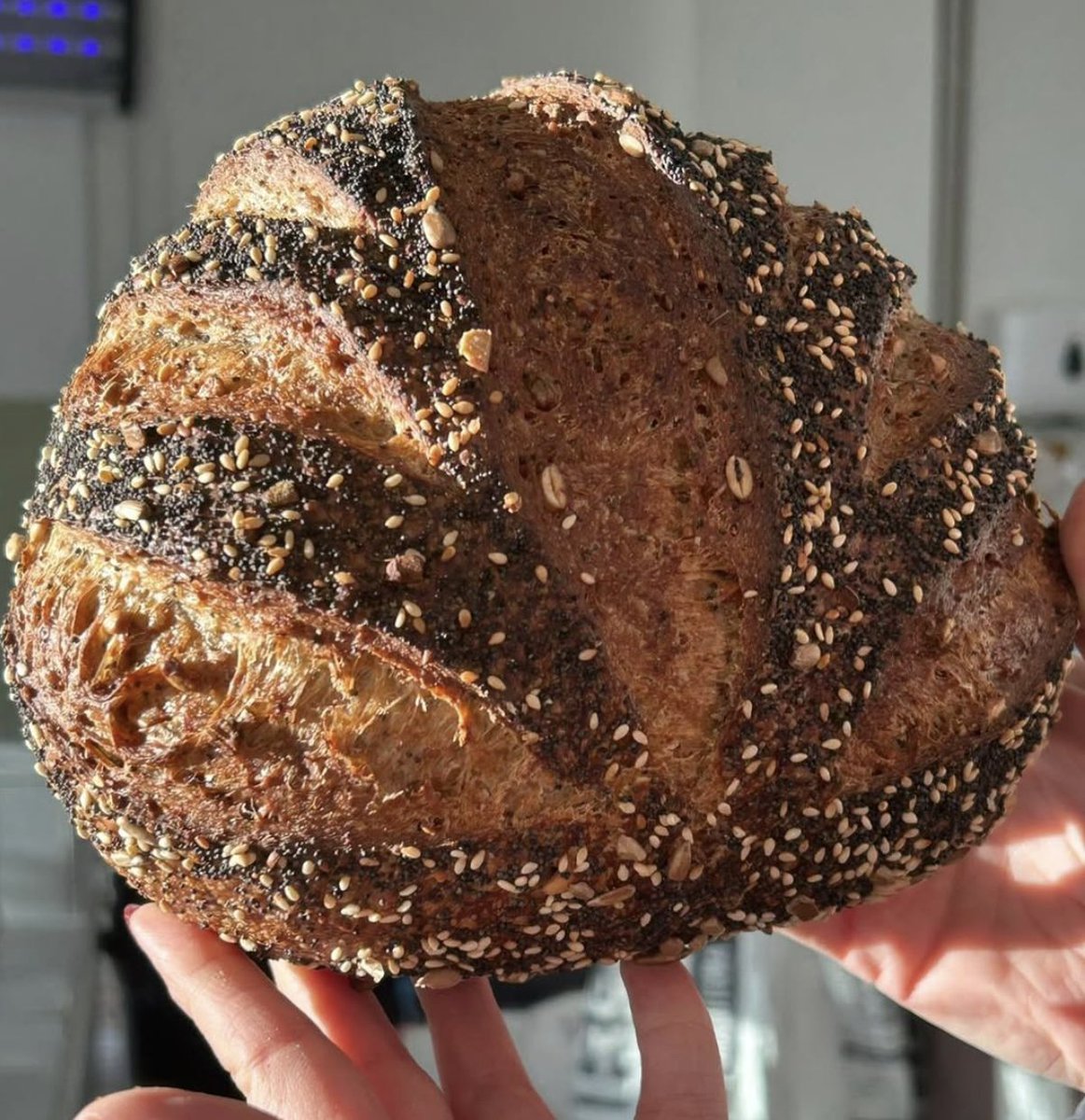 marriagesflour's tweet image. SEEDED LOAVES

We love this seeded "Omega Bomb" loaf from @karma_bread, great for a healthy January.

#MadeWithMarriages #MarriagesFlour #BreadMaking #ArtisanBread #ArtisanBakery #Sourdough #BakeFromScratch