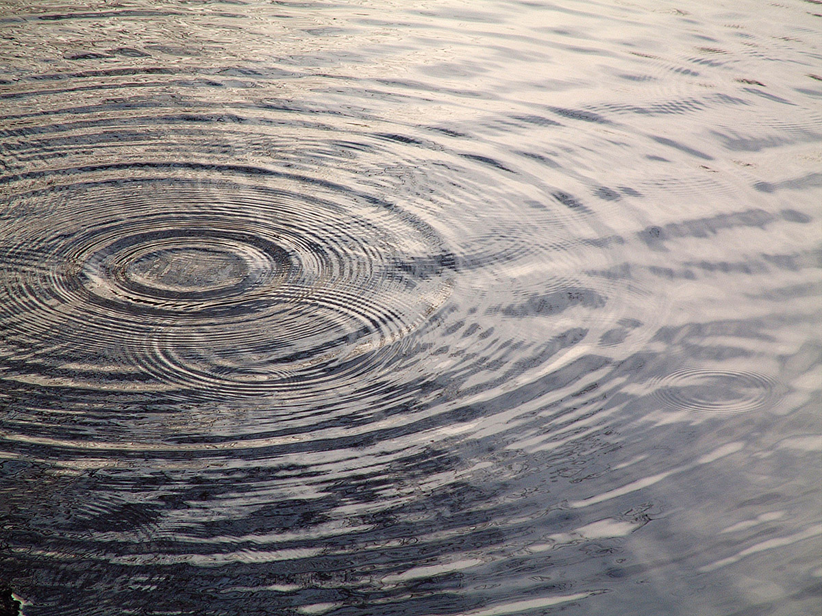 Adam Ford tweet media