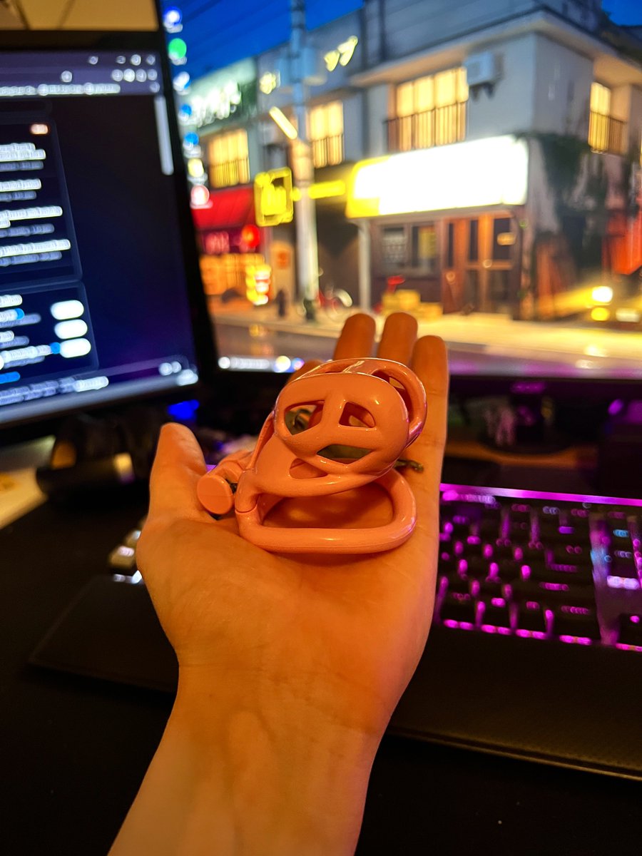 pari cat tweet media