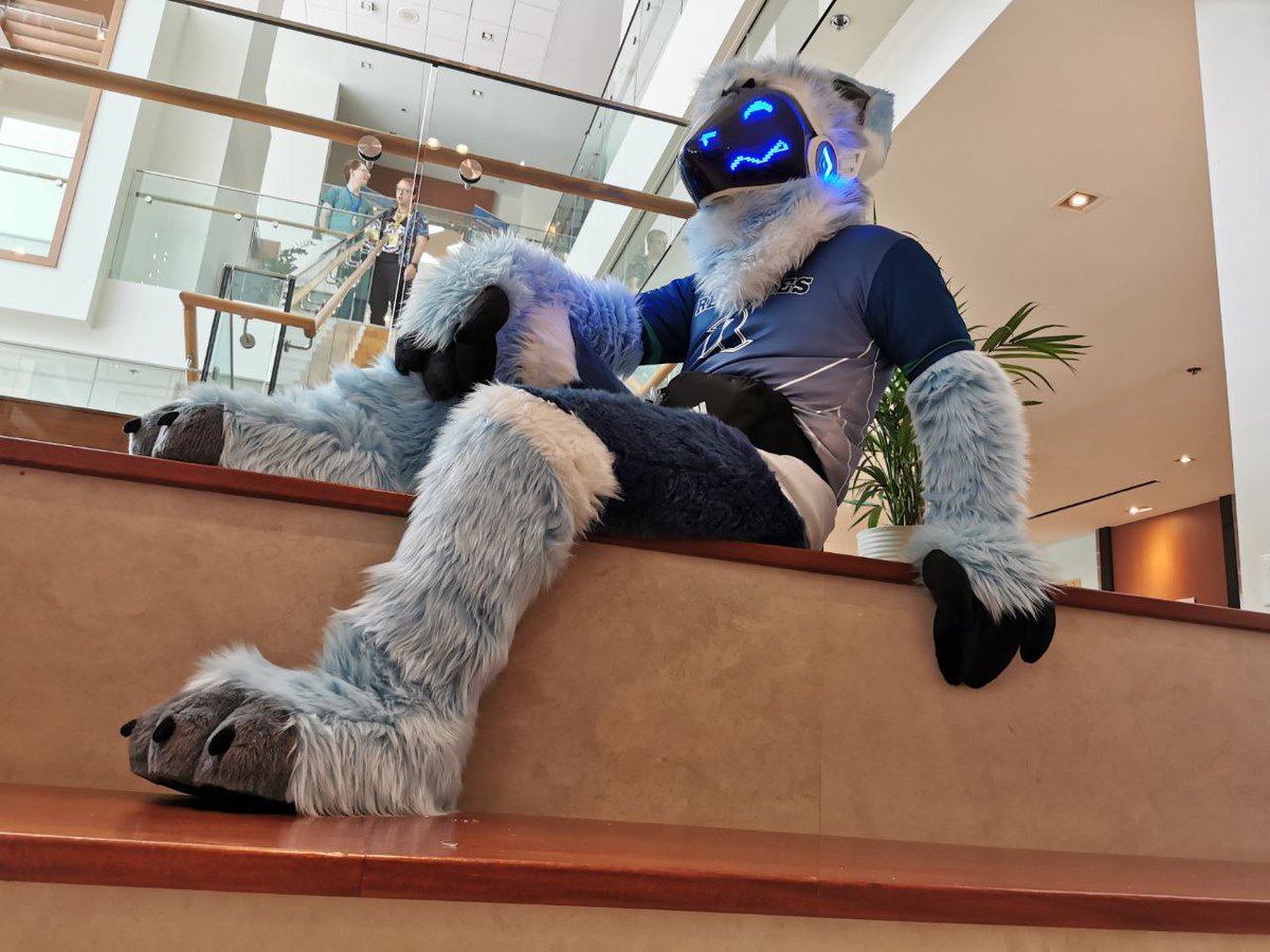 ANE is couple days away! If you see me, please :

Do : 
-Hug the proto
-Give pets
-Take pictures together
-Invite for party

Don’t :
-Touch me in innapropriate ways
-Follow me around
-Grabbing me from behind
-Hit the visor

So excited to see everyone 💙