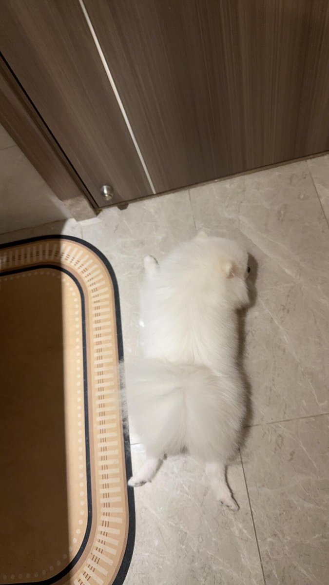 Straight up strike on Monday.🤣