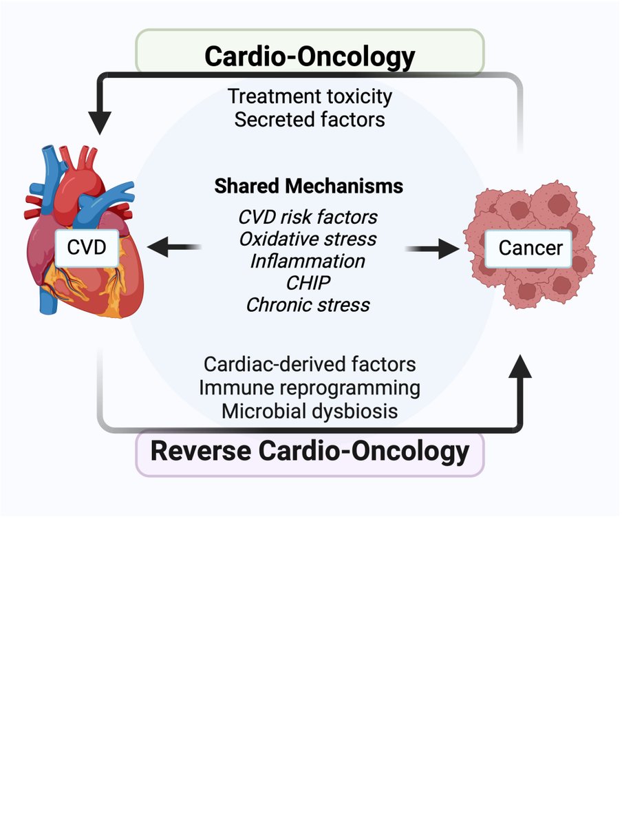 ATVB: An AHA Journal (@atvbahajournals) on Twitter photo Did you know #CVD can influence #cancer outcomes? Check out the latest review in ATVB on the Dangerous Liaisons Between CVD and Cancer. #ReverseCardiooncology. <a href="/KathrynMooreLab/">Kathryn Moore Lab</a> <a href="/aacnewman13/">Dr. Alexandra Newman</a> <a href="/jessiemdalman/">Jessie M. Dalman</a> <a href="/nyulhcvrc/">NYU CVRC</a> @sarnoffcardi
ahajrnls.org/3DPjBQf Did you know #CVD can influence #cancer outcomes? Check out the latest review in ATVB on the Dangerous Liaisons Between CVD and Cancer. #ReverseCardiooncology. <a href="/KathrynMooreLab/">Kathryn Moore Lab</a> <a href="/aacnewman13/">Dr. Alexandra Newman</a> <a href="/jessiemdalman/">Jessie M. Dalman</a> <a href="/nyulhcvrc/">NYU CVRC</a> @sarnoffcardi
ahajrnls.org/3DPjBQf