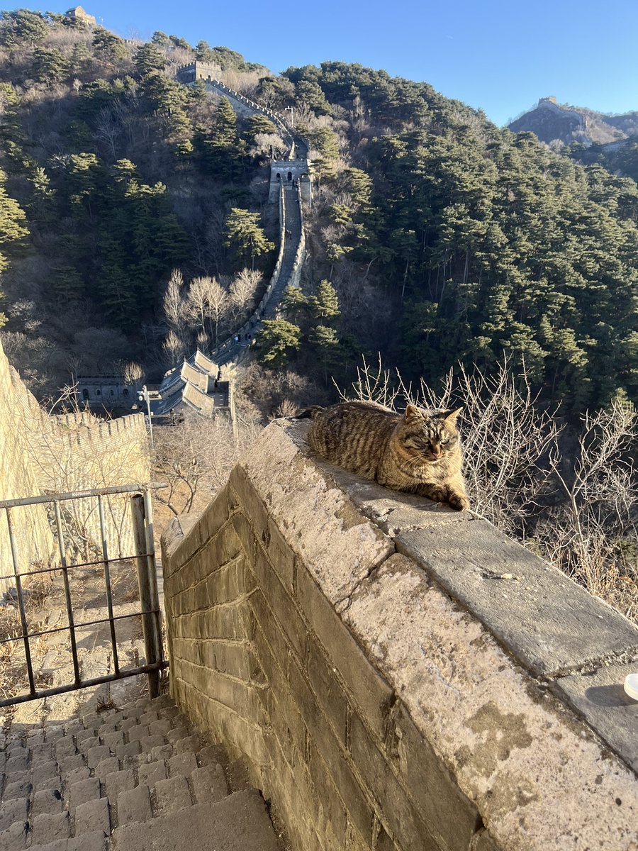 InqiyadP's tweet photo. 1. Great Wall of China https://t.co/TcHwu6V5zQ