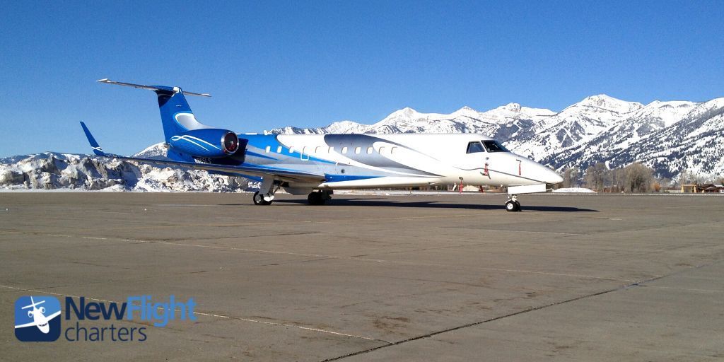 New Flight Charters tweet media