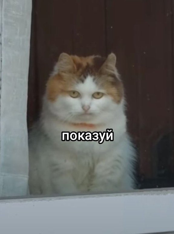 Гіль🔪 tweet media